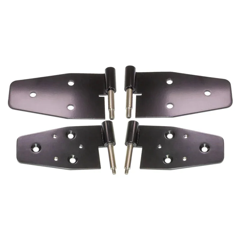 fasthemis23621666