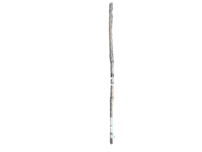 moparpartsgiant13-4410159
