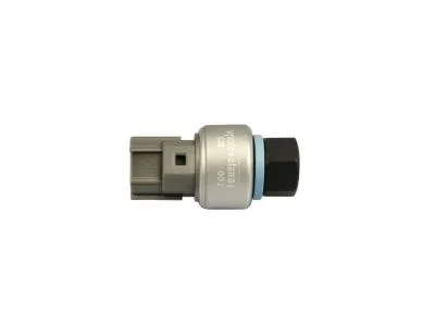 moparpartsgiant4-4006396